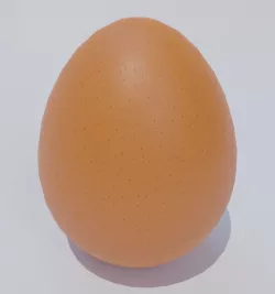 Chicken egg 3D model