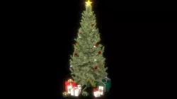 Christmas Tree 3D model