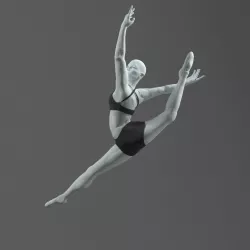 Dance Model 3D model