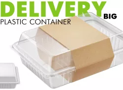 Delivery Big Plastic Container  3D model