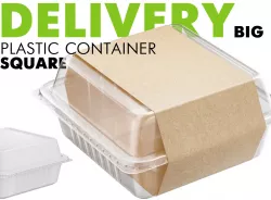 Delivery Big Square Plastic Container  3D model
