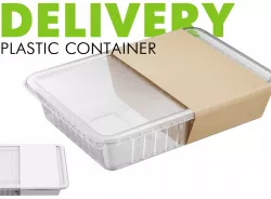 Delivery Plastic Container 3D model