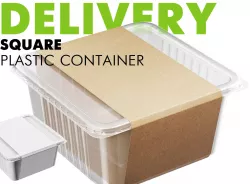  Delivery Square Plastic Container  3D model