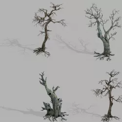 Dragon Fortress-Spider Forest Withered Tree 01 3D model