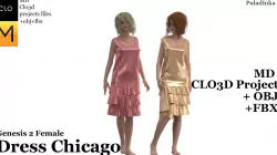 Dress Chicago 3D model