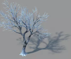 Garden-Garden-Tree 41 3D model