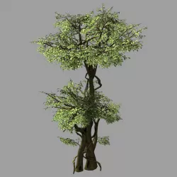 Garden-Garden-Tree 57 3D model