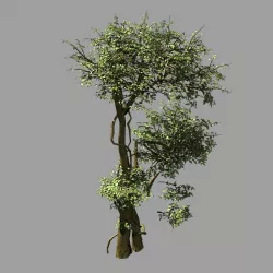 Garden-Garden-Tree 58 3D model