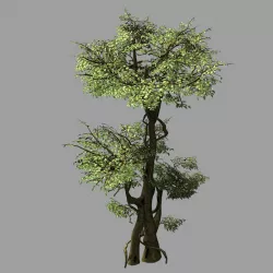 Garden-Garden-Tree 59 3D model