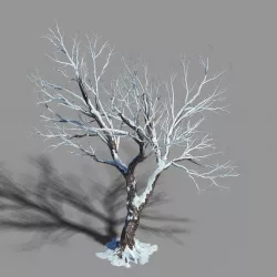 Garden-Garden-Tree 60 3D model