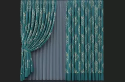  Green curtains with tulle 3D model