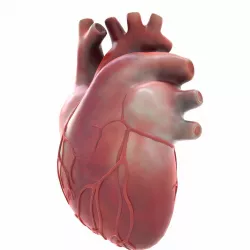 Human Heart Low-poly 3D model