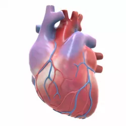Human Heart Low-poly 3D model