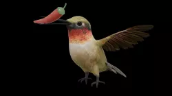 Humming Bird 3D model