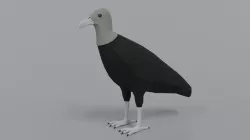 Low poly Cartoon Black Vulture Low-poly 3D model
