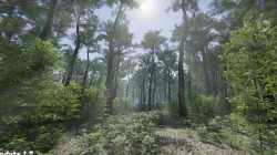Oak Forest Environment Unity Update 1 2 Low-poly 3D model