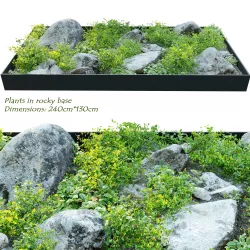 Plants in rocky base 3D model