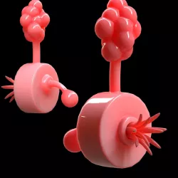 Plumbus Low-poly 3D model