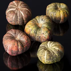 Pumpkin - 5 Models Low-poly 3D model
