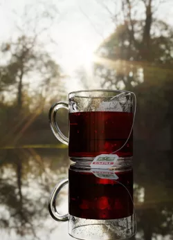 Realistic Green Tea and Cup Scene in Blender 3D model