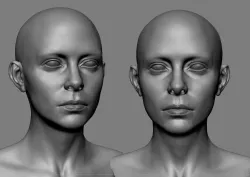 Realistic  White Female Head Anatomy 3D model