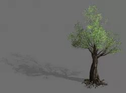 Salix-desert plant 13 3D model