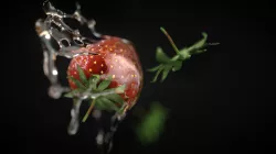Strawberry Animation 3D model