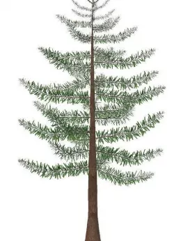 tree 3d fbx file  Low-poly 3D model