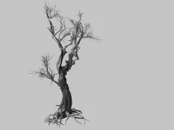 Vampire-Dead Tree 25 3D model