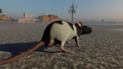 Vasiliy The Rat Low-poly 3D model