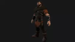 Viking 3D model
