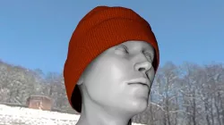 Winter Hat Package 3D model