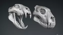 3D Lion Skull - Sculpture 3D model