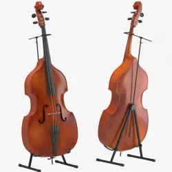 Cello 01 3D model