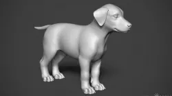 Dog Puppy - Highpoly Sculpture 3D model