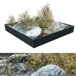 Dry plants in rocky base 3D model