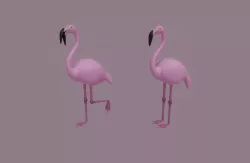 Flamingo Low-poly 3D model