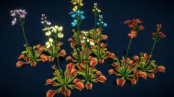 Flower Venus Flytrap Low-poly 3D model