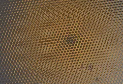 honeycomb  structure  Texture