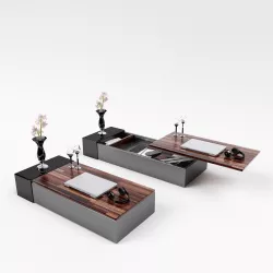 IW Coffee Table 3D model
