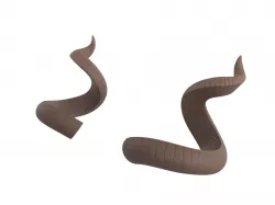 Kudu Horn 3D model