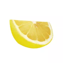 Lemon slice 3D model