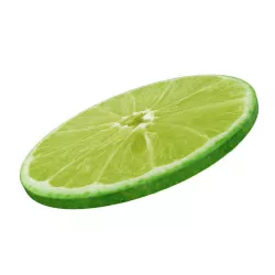 Lime round slice 3D model