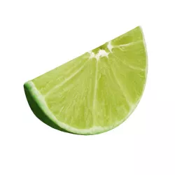 Lime slice 3D model