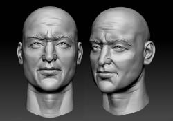 Male head sculpt human anatomy fantasy futuristic | 3D model