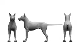 monster dog 3d model 3D model