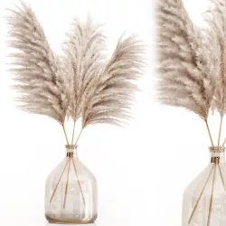Pampas grass in glass vase 7 3D model