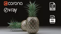 Pineapple 3D model 3D model