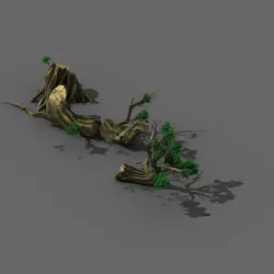 Plant - broken tree 01 3D model