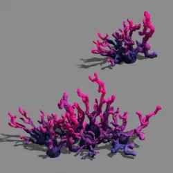 Plant - pool - aquatic plants 3D model